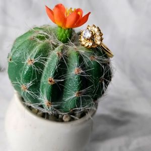 Ladies engagement ring